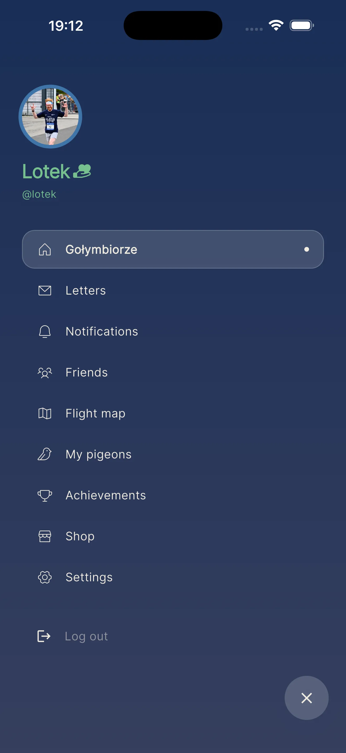 Side menu: letters, friends, the flight map, my pigeons and the shop