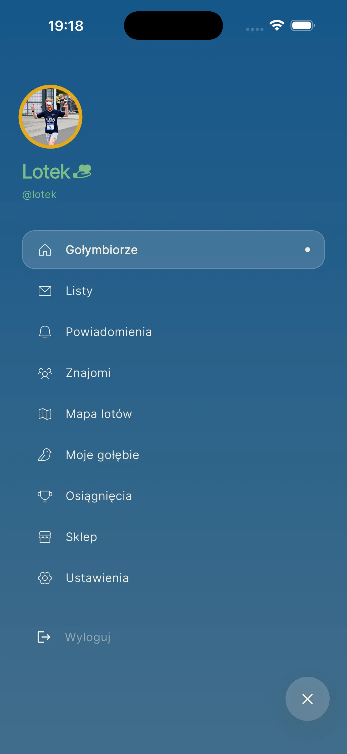 Boczne myni: listy, znajōmi, mapa lotōw, moje gołymbie i sklep